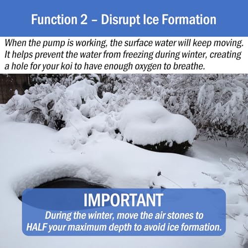All-in-One Pond Aeration System - Koi Pond Aerator with Air Pump for 2000-5000 Gallons - Self-Sinking Airline, Flow Control, Rubber Air Diffuser