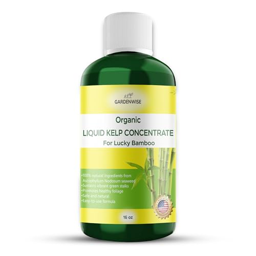Organic Premium Kelp Seaweed Liquid Fertilizer for Lucky Bamboo (16 Fl Oz)