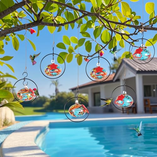Flexible 6 Circular Hummingbird feeders for Outdoors Hanging Ant and Bee Proof
