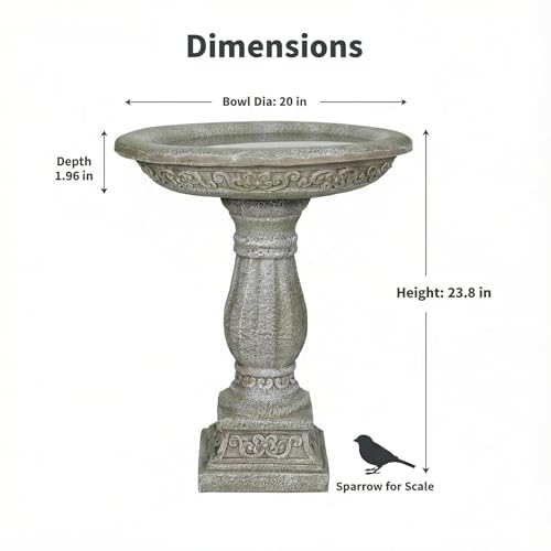 23.8 Inch High Concrete Bird Bath with Carved Pedestal