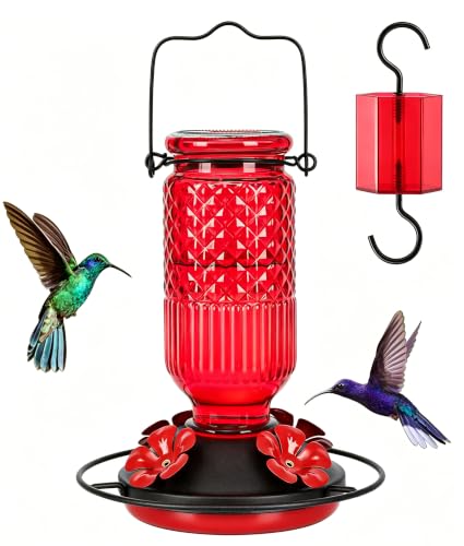 Glass Hummingbird Feeder for Outdoors Hanging