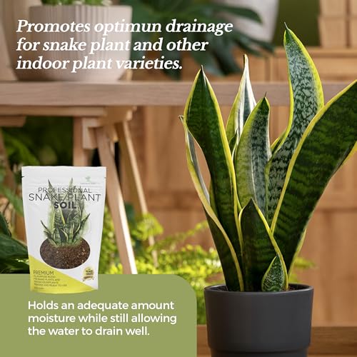 Leaves & Soul Snake Plant Potting Soil 8.2 Qt for Snake Plants Indoor (Snake Plant Soil / 8.2 Quarts)