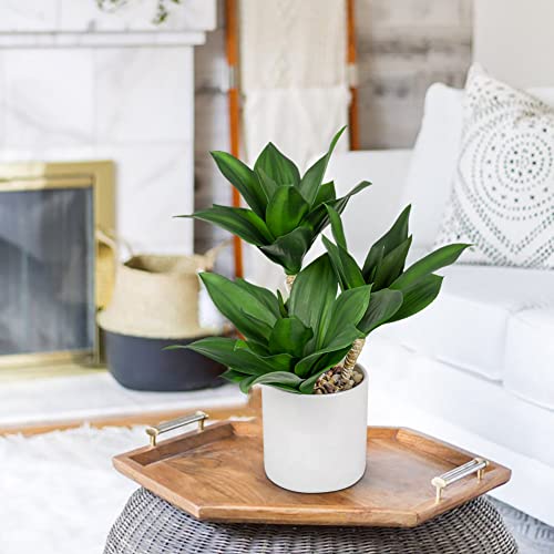 Large Artificial Agave Plants Fake Three