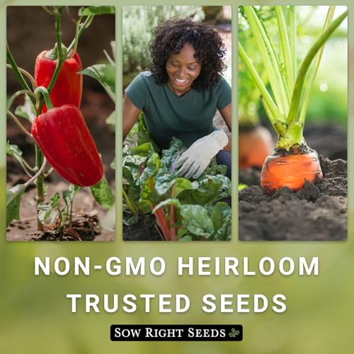 Complete Garden Seed Collection for Planting at Home (40 Count)