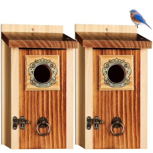 2 Pack Premium Bird House