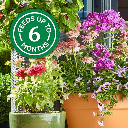 Smart Release Plant Food Plus Outdoor & Indoor1 (2 lb. / Outdoor & Indoor)