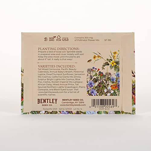 Bentley Pollination Celebration Wildflower Seed Packets (25 Count)