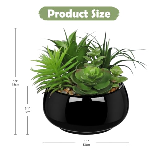 Artificial Succulents in Pots Fake Plants Faux Succulent Arrangement Potted Plant in Vase Black Ceramic Planter Bowl for Office Desk Bathroom Shelf Living Room Indoor Outdoor Home Decor (Black)