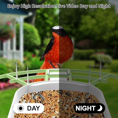 Bird Feeder with Camera