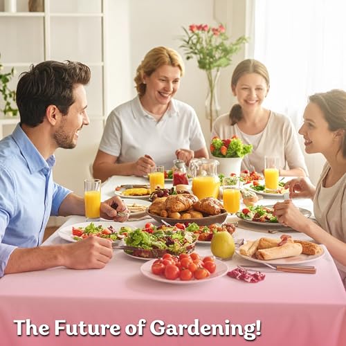 150 Straight Eight Cucumber Heirloom Vegetable Seeds