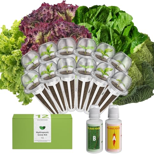 Salad Romaine Lettuce Seed Pod Kit for AeroGarden