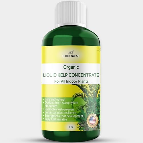 Organic Premium Kelp Seaweed Fertilizer (8 Fl Oz)