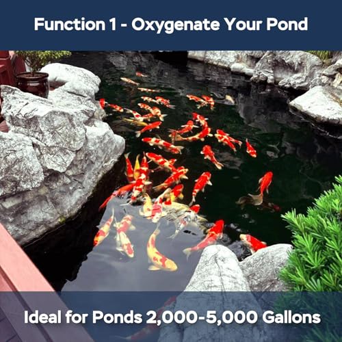 All-in-1 Koi Pond Aeration Kit Pond Air Pump with Self-Sinking Airline Rubber Air Diffuser, Air Flow Control Pond Aerator for Outdoor Pond 2,000-5,000 Gallons