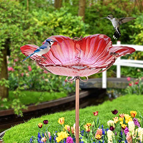 26" Glass Bird Bath