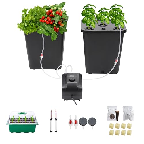 DWC 2 Hydroponic Buckets Kit for Plants