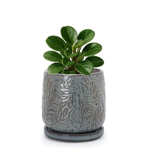 Embossed Leaves Ceramic Planter (4 Inch / Graphite Blue)