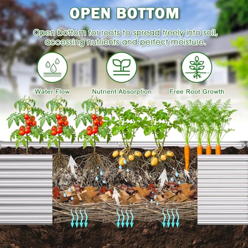 8x4x2ft Raised Garden Bed