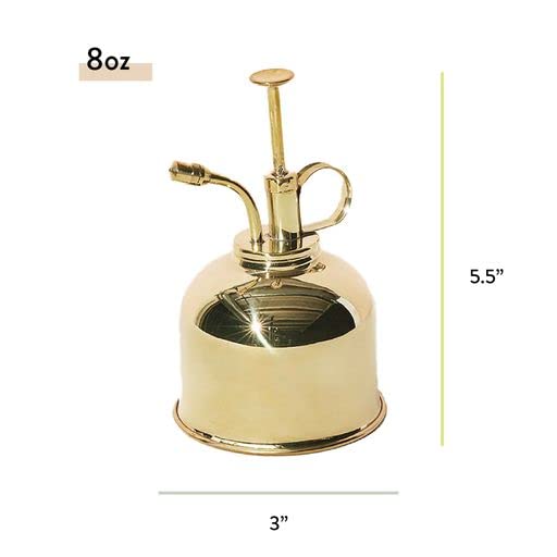 Plant Mister 8 oz Indoor Watering Can & Sprayer