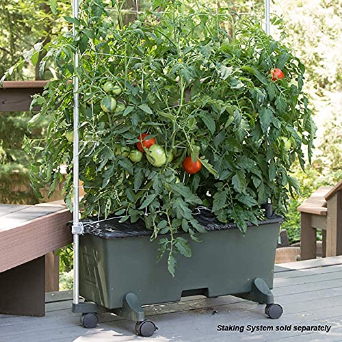 Novelty EarthBox Garden Kit (2 Count)