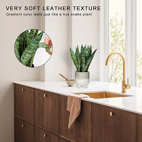 Fake Snake Plant 12 Inch Small Artificial Snake Plant Potted with Ceramic Pot Faux Sansevieria Plant for Home Office Room Indoor Decor Housewarming Gifts