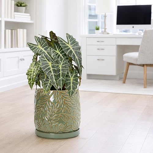 Embossed Leaves Ceramic Planter (10 Inch / Olive)