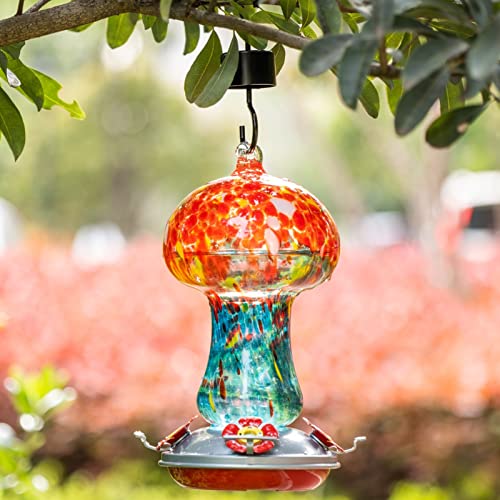 Gifts for Women Hummingbird Feeders for Outdoors Hanging Ant and Bee Proof