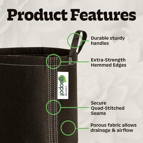 2 Gallon Fabric Grow Bags with Handles for Vegetables (10 Count)