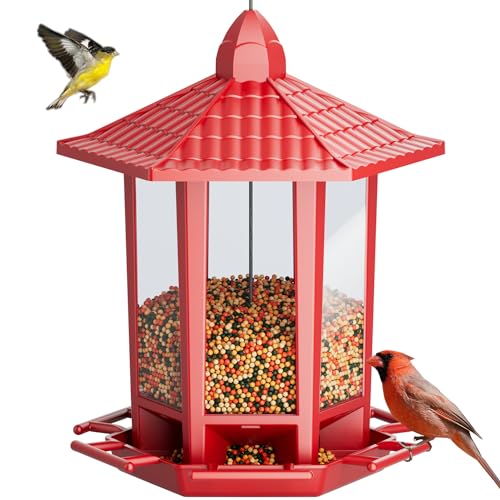 Bird Feeders for Outdoor Hanging