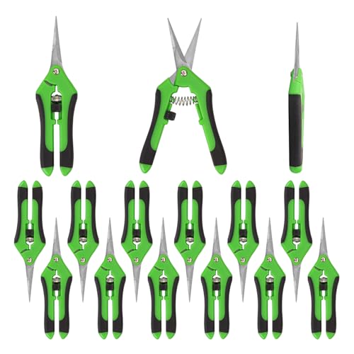 15 Pack 6.5 Inch Green Garden Pruning Scissors (15 Count)