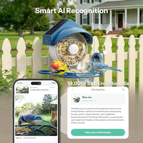 Smart Bird Feeder with Camera (52.96 Ounce)