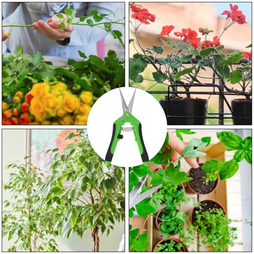 15 Pack 6.5 Inch Green Garden Pruning Scissors (15 Count)