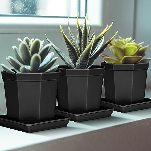 Square Plant Saucer 10 Inch 2 Pack (10"(2 pack) / Black)