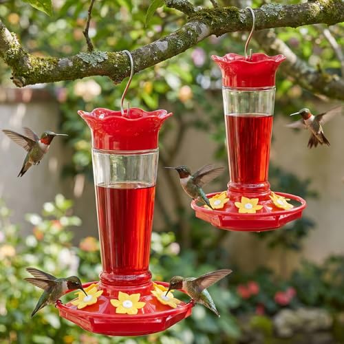Glass Hummingbird Feeders for Outdoors Hanging Ant and Bee Proof Clear 10 OZ 2 Pack Bird Feeders for Outside Hanging 6 Feeding Stations Bird Nectar Feeder for Garden Yard Décor Gifts for Mom (20 Fl Oz)