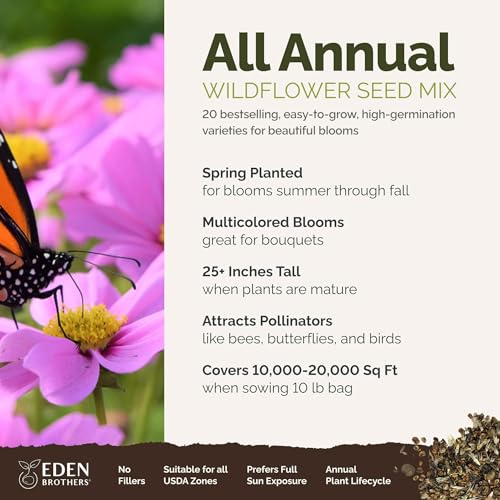 All Annual Wildflower Mixed Seeds for Planting