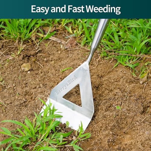 Dutch Hoe Stainless Steel Head with Wooden Handle Weeder