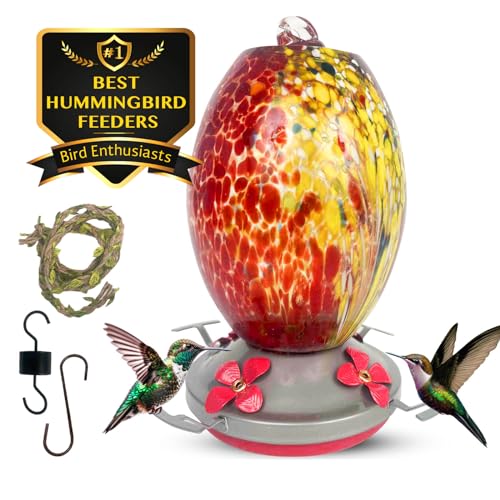 Glass Hummingbird Feeder for Outdoors