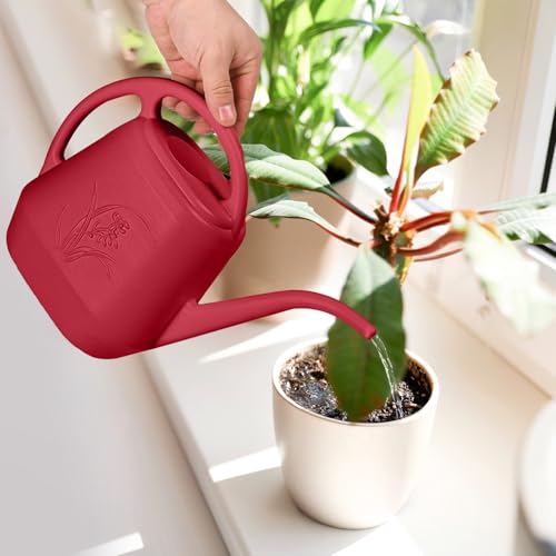 Hand Watering Can (Wine Red)