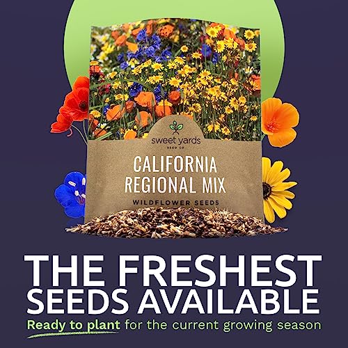 California Wildflower Mixture (7000 Count)