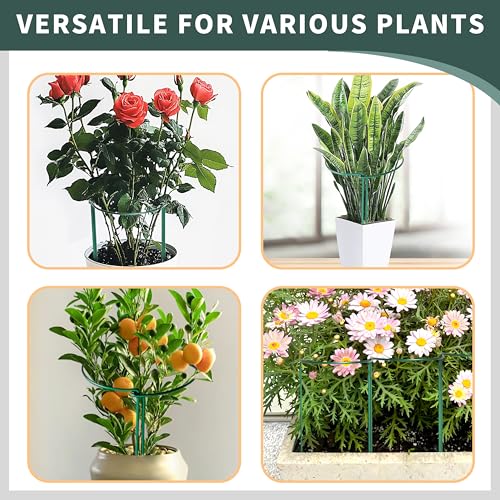 10 Pack Plant Support Stakes for Peony (10 Count)