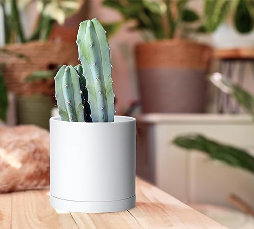 4 Pack White Plastic Planters with Saucers (5.5")