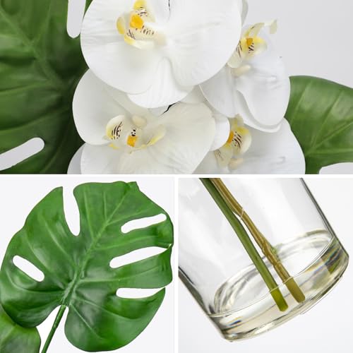 Artificial Monstera Plant and Fake Orchid in Glass Vase