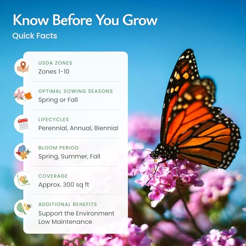 Hummingbird & Butterfly Wildflower Seed Mix (60000 Count)