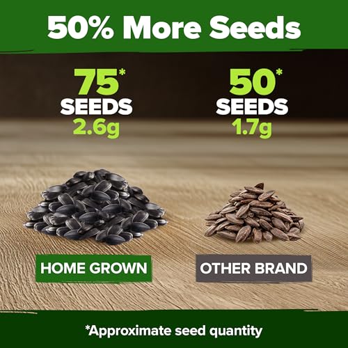 Chocolate Cherry Sunflower Seeds