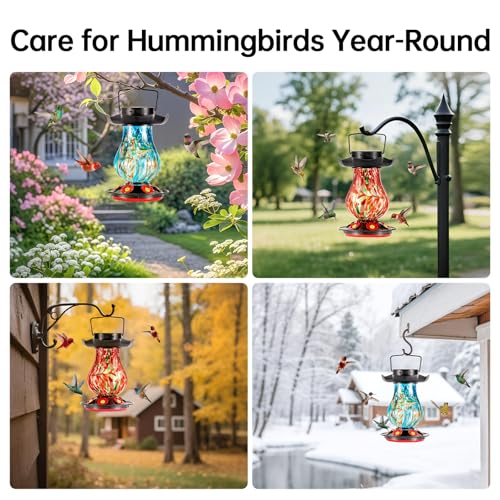 Solar Hummingbird Feeder for Outdoor