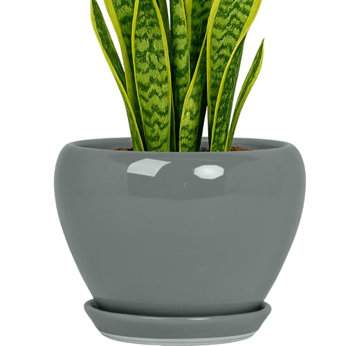 8 Inch Plant Pots (Gray / 8 Inch)