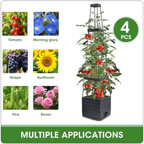 Tomato Planter Boxes with Trellis Outdoor