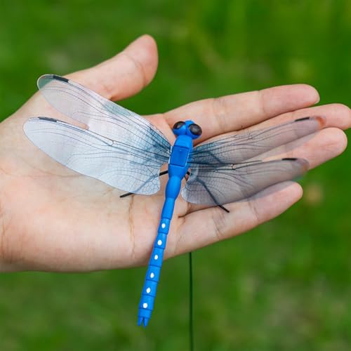 10 Pcs 5 Color Dragon Fly Clips (10 Count)