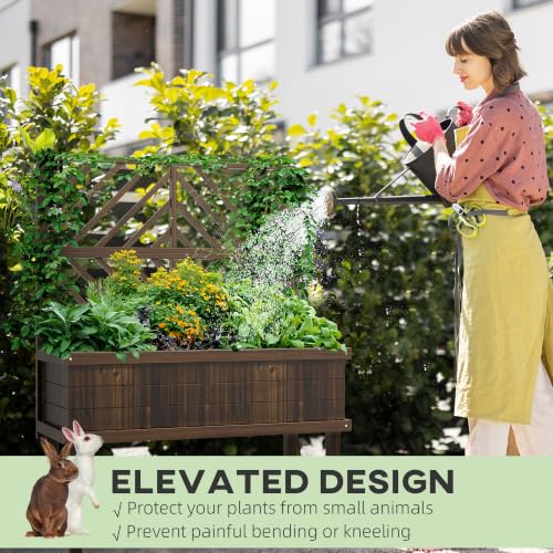 Raised Garden Bed with Trellis for Climbing Plants