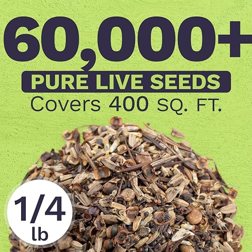 Texas Oklahoma Wildflower Seeds Mixture (60000 Count)