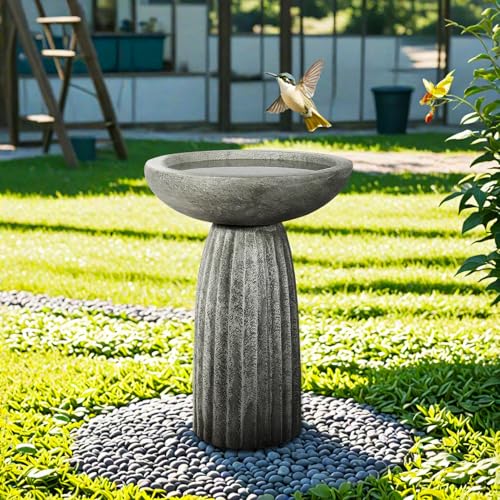 Modern Bird Bath